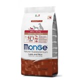 Monge Mini Puppy Jagnjetina 2,5kg | Eponuda.com