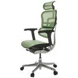 MID.YOU Pisarniški Stol Ergohuman I, Zelena | Shoptok.si