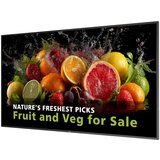  Philips 5000 series 65BDL5050D /00 Signage Display 165.1 cm (65) LCD Wi-Fi 600 cd /m² Full HD Black Built-in processor Android | shoptok.hr