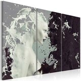  Slika - Black or white? - triptych 90x60 Cijene