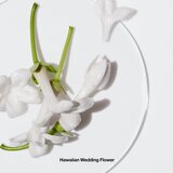 Clinique Happy Ženski EDP 100ML | ePonuda.com