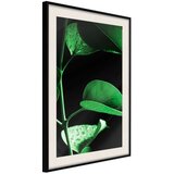  Poster - Calm After the Storm 30x45 | shoptok.hr