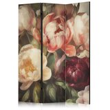  Paravan - Blooming Peonies - Charismatic Flowers Bathed in Sunlight 135x172 | shoptok.hr