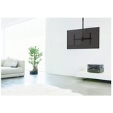 Stell stropni nosač za TV SHO 3900 - 40" do 70" | shoptok.hr
