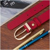 Beltimore krad9380 sarena | shoptok.hr