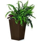 Keter Rjav vrtni cvetlični lonec Kind, višina 44 cm | Shoptok.si