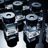 Bottega Veneta Illusione Bois Nu toaletna voda za muškarce 50 ml | shoptok.hr