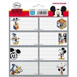 Grupo Erik Editores S. L. DISNEY CLASSIC LEPLJIVE ETIKETE, (20872953) | Shoptok.si