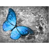  Tapeta - Blue butterfly 400x309 | shoptok.hr