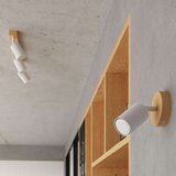  Sollux SL.1288 - Spot svetiljka VERDO 3xGU10/10W/230V bela | Eponuda.com