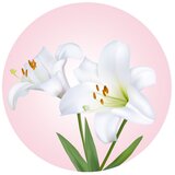 Veet krema za depilaciju za suvu kožu 400ml | ePonuda.com