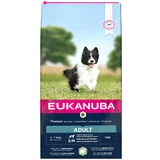 Eukanuba 10% popusta! 12 kg - Adult Small / Medium Breed janjetina i riža