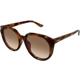Chloe CH0291SK 003 ONE SIZE (58) Havana/Rjava | Shoptok.si