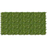  Zaslon za balkon s lišćem Zelena i žuta 200 x 100 cm | Eponuda.ba