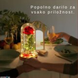 LocoShark Loco Forever Rose - popolno darilo za posebne priložnosti Cene