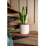 Artevasi Keramičen ročno poslikan okrasni cvetlični lonec ø 25 cm Fortuna – | Shoptok.si