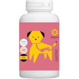 Apipet Gastro 120 kapsula | shoptok.hr