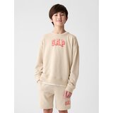 GAP Kids Sweatshirt with Logo - Boys | Shoptok.si