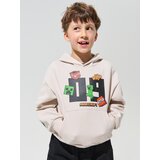 Sinsay Hoodie s tiskom Minecraft | shoptok.hr