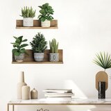 Ambiance Stenska nalepka 60x35 cm 3D effect Green Plants - Ambiance Cene