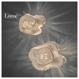 6 zidna lampa 1*E27