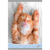 Teka MEKI UVEZ A4 KARO 40 PLUS 2L 80G SWEET PETS ELISA | Eponuda.com
