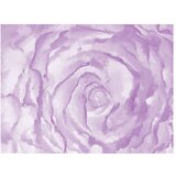  Tapeta - rose (pink) 250x193 | shoptok.hr