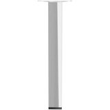 WALTECO Postolje za namještaj (D x Š x V: 25 x 2,5 x 20 cm, Nosivost: 50 kg, Čelik, Srebrna, Sjaj) Cijene