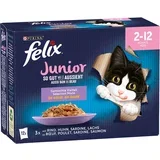 Junior Fantastic "So gut wie es aussieht" - 48 x 85 g - Piletina, govedina, losos, sardine