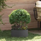  Prsten za saksiju Crna 40 x 40 x 20 cm Čelična vrata | shoptok.hr