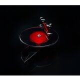 Pro-ject Projekt AC/DC gramofon s 2M Crvenim zvucnicima | shoptok.hr