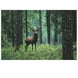 Puzzle 1000 KOM ANIMAL PLANET DEER DIAKAKIS 000570696 | shoptok.hr