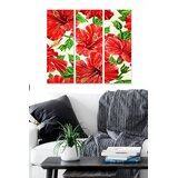 Wallity Set slika MDF24391263, 3 dijela | Eponuda.ba