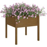  Vrtne sadilice 2 kom boja meda 70 x 70 x 70 cm masivna borovina | Eponuda.ba