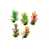 Croci dekorativna biljka na kamenu za akvarijum 18-20cm cene