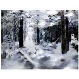  Tapeta - Winter forest 250x193 | shoptok.hr