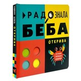 Dexyco Radoznala beba otkriva ( DEXY0502 ) Cene