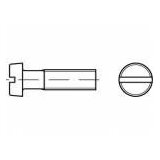 Toolcraft TO-5451252 vijci s cilindričnom glavom M3 45 mm utor mjed 200 St. | shoptok.hr