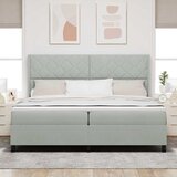  Krevet s opruga kutije Svijetlo siva 200 x 200 cm Baršun | shoptok.hr
