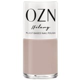  Lak za nohte, nude/sivi/rjavi odtenki - Hilary Cene