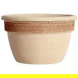 Degrea saksija campanella graffiata terracotta | ePonuda.com