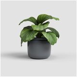 Artevasi Keramička ručno rađena tegla za cvijeće ø 20 cm Astrea – | shoptok.hr