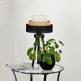  Brilagi - Stona lampa ASPEN LUNETA 1xE27/15W/230V crna/bež/krem | Eponuda.com
