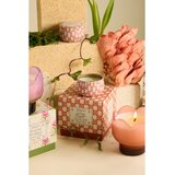 Paddywax Tulip Cactus Flower di&amp;scaron;eča sveča 155 g Slike