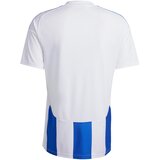 Adidas Dres modra / kraljevo modra / bela | Shoptok.si