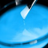  luminiscentni pigment plavi epodex | ePonuda.com