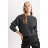 Defacto Coool Regular Fit Crew Neck Sweater | ePonuda.com
