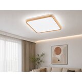  LED plafonjera R-A44, 48 W Slike
