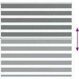 vidaXL Zebra senčilo temno sivo 150x100 cm tkanina širina 145,9 cm | Shoptok.si