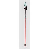 Völkl Phantastick 16mm Poles 2025 Smucarske palice red Cene